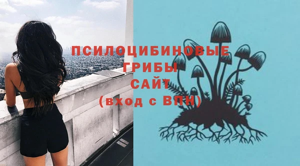 соль ск Верхний Тагил